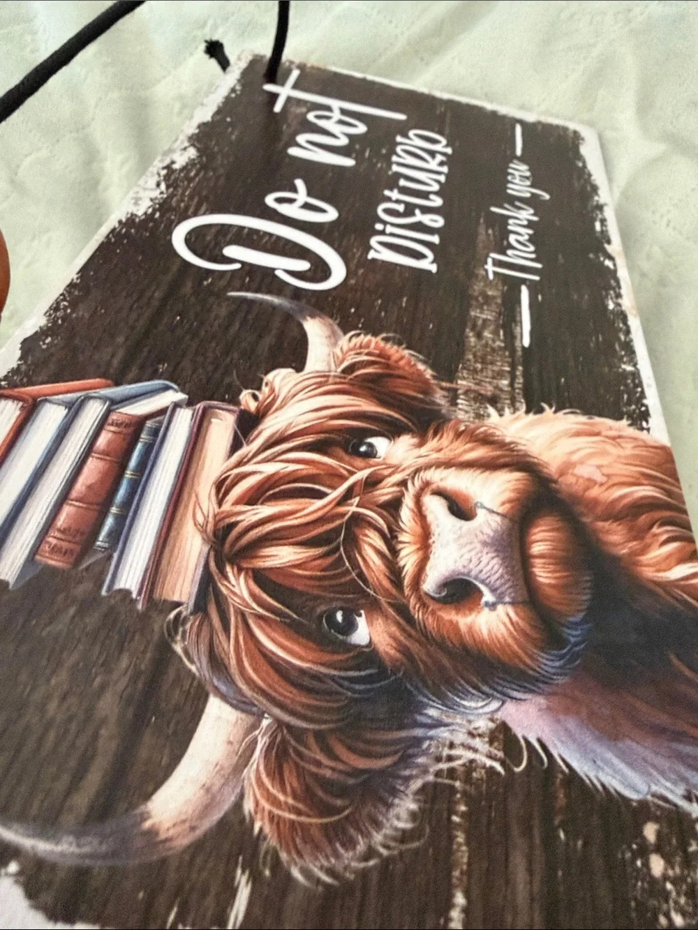 Do Not Disturb Wall Sign - Brown Highland Cow Design